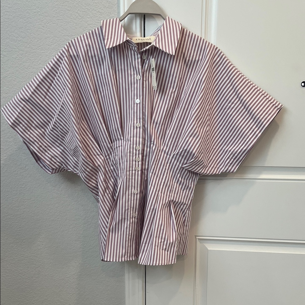 Anthropologie Striped Button-Up Shirt in Mauve and White